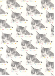 Papier imprimé photos drôles chaton mignon